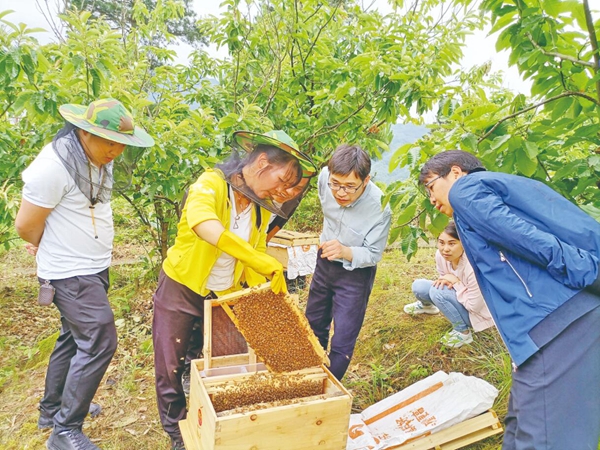 岑松鎮(zhèn)組織留守勞動(dòng)力進(jìn)行技能培訓(xùn)