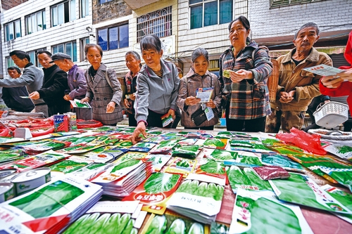 錦屏拉開(kāi)秋冬種植序幕