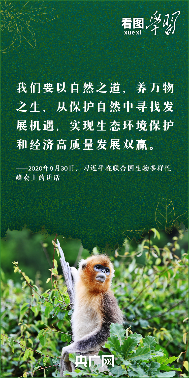 bbe650c17b228b78876272d406a2494a_746f5dd7591a6175489171221261259210_auth=7344ebee2eaa23a704cbe0f8c7ce7a89.png bbe650c17b228b78876272d406a2494a_746f5dd7591a6175489171221261259210_auth=7344ebee2eaa23a704cbe0f8c7ce7a89.png